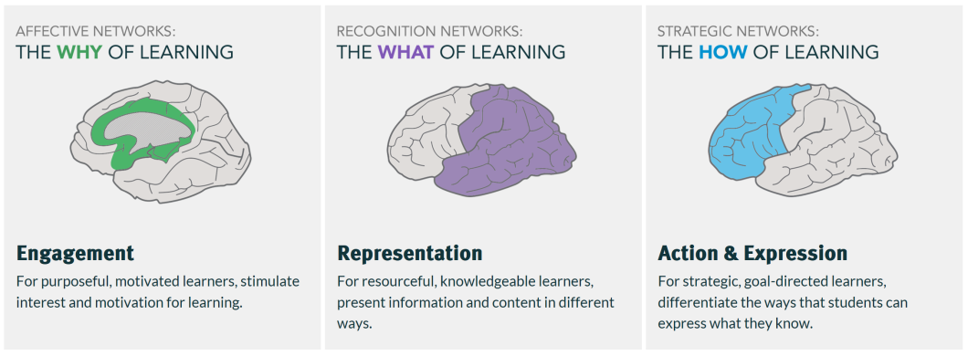 Affective networks - the why of learning. Engagement, for purposeful, motivated learners, stimulate interest and motivation for learning. Recognition networks: the what of learning. Representation, for resourcesful, knowledgeable learners, present information and content in different ways. Strategic networks: the how of learning. Action and expression, for strategic, goal-directed learners, differentiate the ways that students can express what they know.